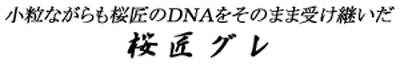 ohsho_dna-2